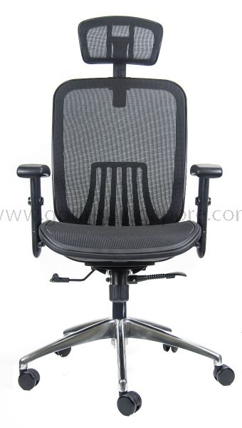 Godrej Singapore Ace HB Adjustable Arms Mesh Chair Ergonomic