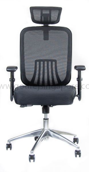 Godrej Ace High Back Chair Furniture Ace High Back Chair Godrej