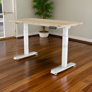 1500mm Dual Motor Electric Height Adjustable Table 