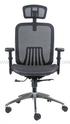 ACE High Back Adjustable Arms Ergonomic Mesh Chair